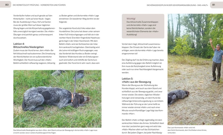 Actual product image Der Jagdgebrauchshund-Jährling (German, Uwe Tabel, 2023)