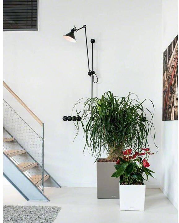 Produktbild Lechuza Cube (49 x 49 x 49.50 cm)