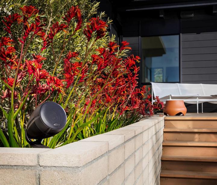 Productafbeelding Polk ATRIUM 100SUBTE Home Audio Buiten terracotta