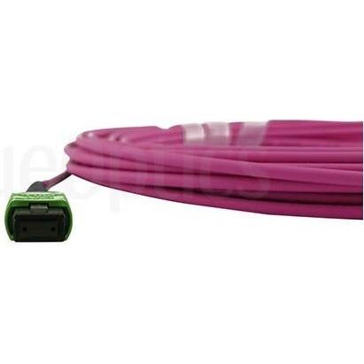 Thumbnail - BlueOptics LWL MTP/APC Trunkkabel OM4 16 Kerne 0.5 Meter Typ C (0.50 m), Netzwerkkabel