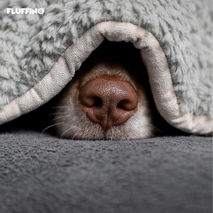 Produktbild Fluffino Hunde-Decke S, Grau (Hund)