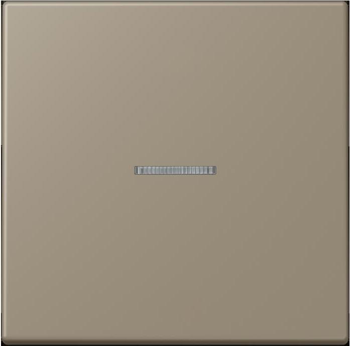 Actual product image JUNG BTLC17101242