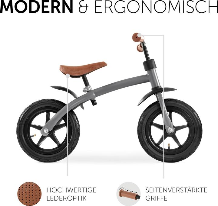 Produktbild Hauck E Z Rider 12 Matt Grey (12")