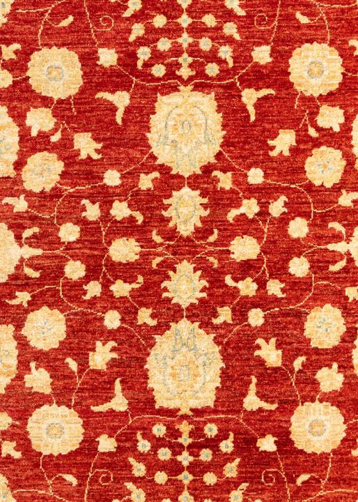 Produktbild Vidal Ziegler