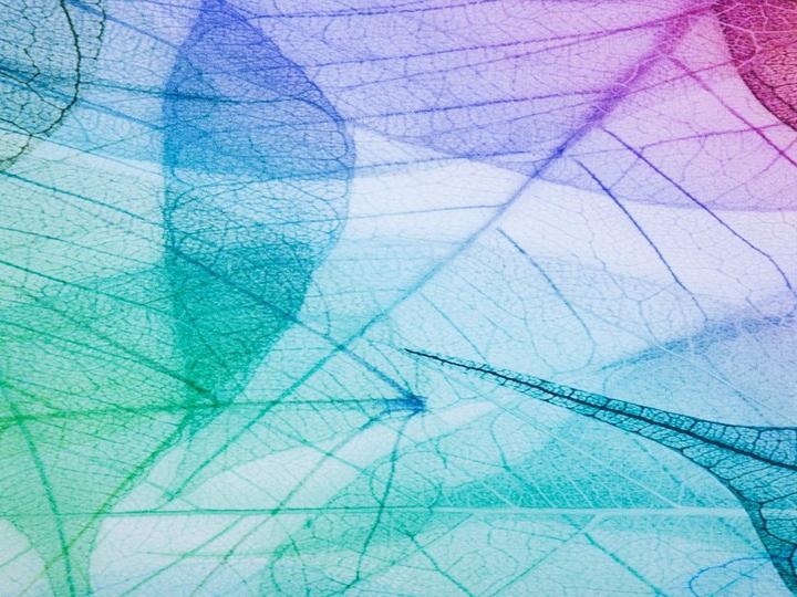 Image du produit Beliani Antakya (200 x 140 cm)