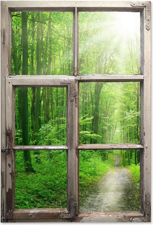 Actual product image Trenddeko 3D Windows Shabby - Sunny Forest (41 x 60 cm)
