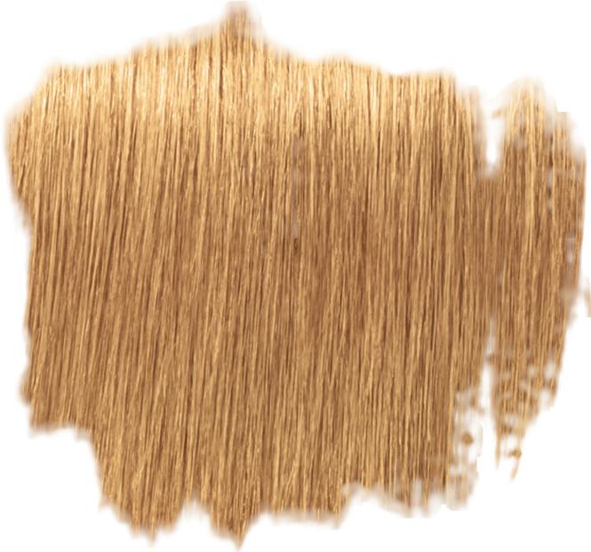 Produktbild Schwarzkopf Professional IGORA VIBRANCE Tone On Tone Coloration (9,5-5 Gold Toner)