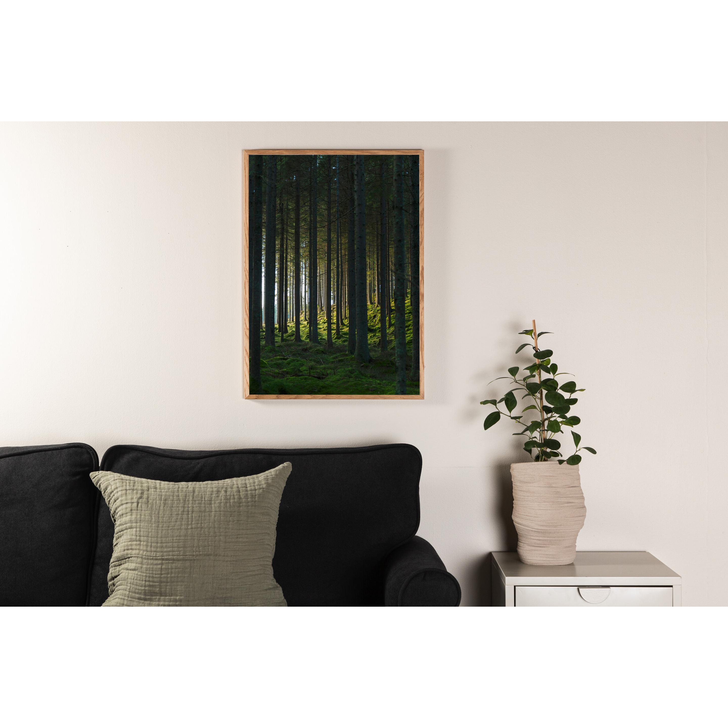 Venture Home, Wanddeko, Woods (70 x 100 cm)
