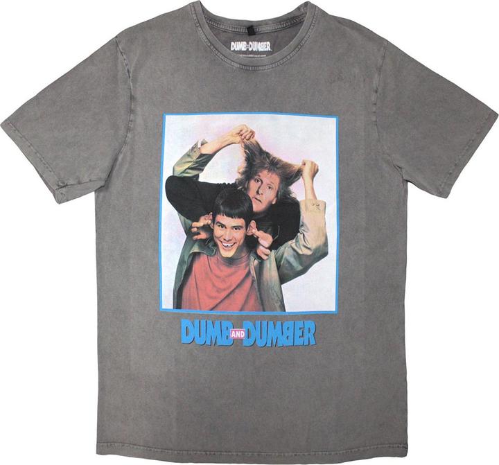 Dumb and Dumber Movie Poster Wash