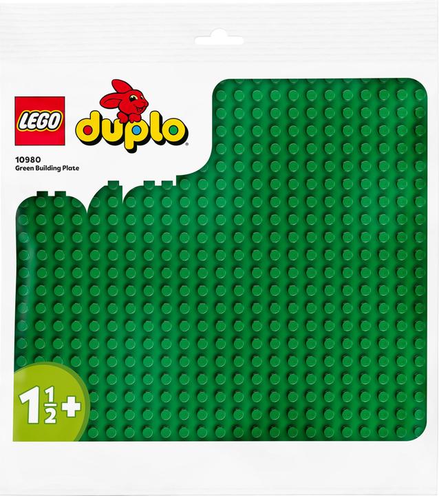Actual product image LEGO Building panel (10980)