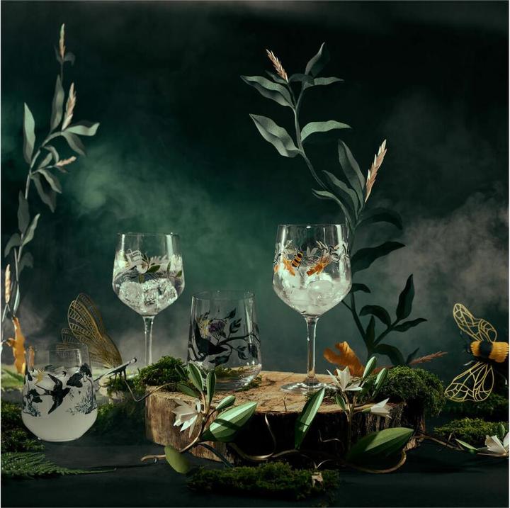 Produktbild Ritzenhoff Botanic Glamour (7.10 dl, 2 x, Gin Gläser)