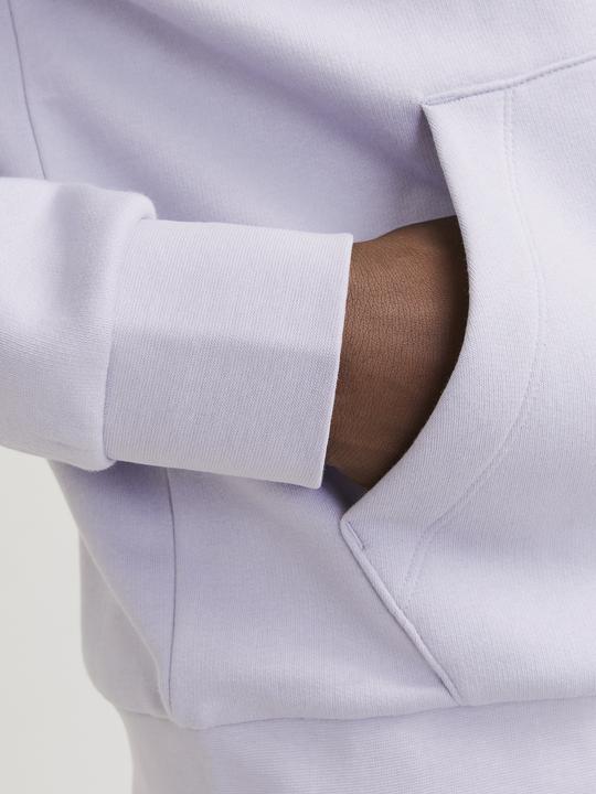 Produktbild Jack & Jones Logo Kapuzenpullover Kapuzenpullover (S)