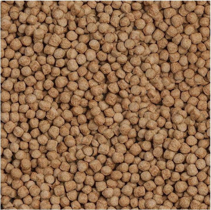 Produktbild Sera Koi Royal HF medium (Koi, 100 cl)