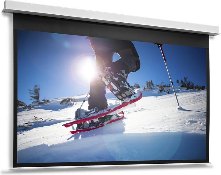 Vaddio Projecta DescenderPro - Écran de projection - montage au plafond - motorisé - 230 V - 447 cm (176", 16:9)
