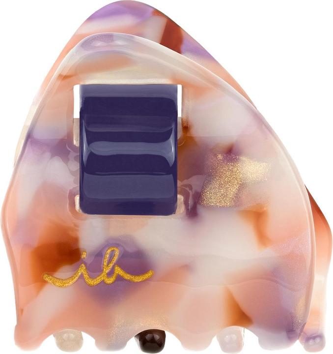 Invisibobble Everclaw (Accessori)