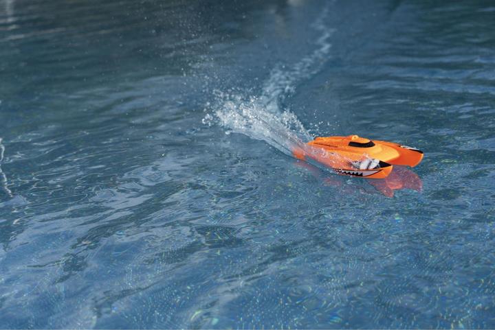 Actual product image Carson Race Shark FD