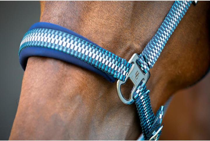Image du produit Horse Guard Cole