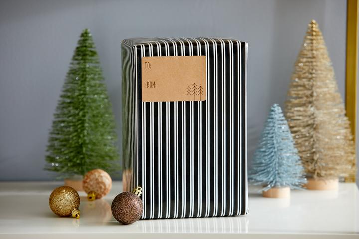 Image du produit Cricut Joy (210 g/m², 4 x)