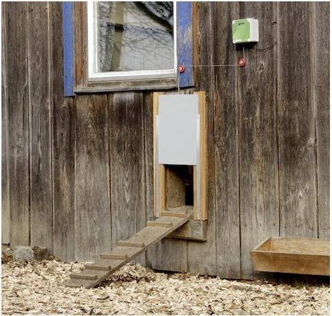 Image du produit Kerbl 70546 Kit de porte automatique pour poulets, y compris porte coulissante, 300 x 400 mm