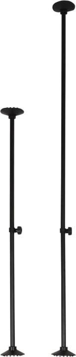 Flamingo Jake (Hund)