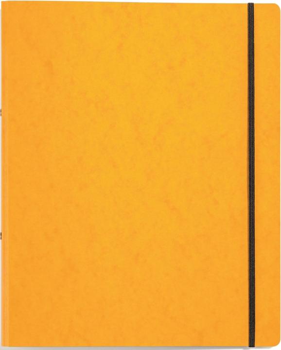 Actual product image Pagna Ring binder A4/2R/16mm yellow (A4, 16 mm, 1 Piece)