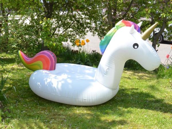 Produktbild Schwimminsel Einhorn