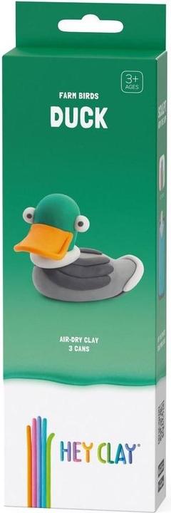Hey Clay Oiseaux Pâte plastique de la ferme Kaczka