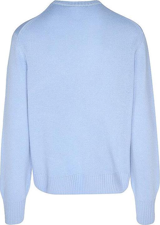 Actual product image Lacoste Jumper (S)