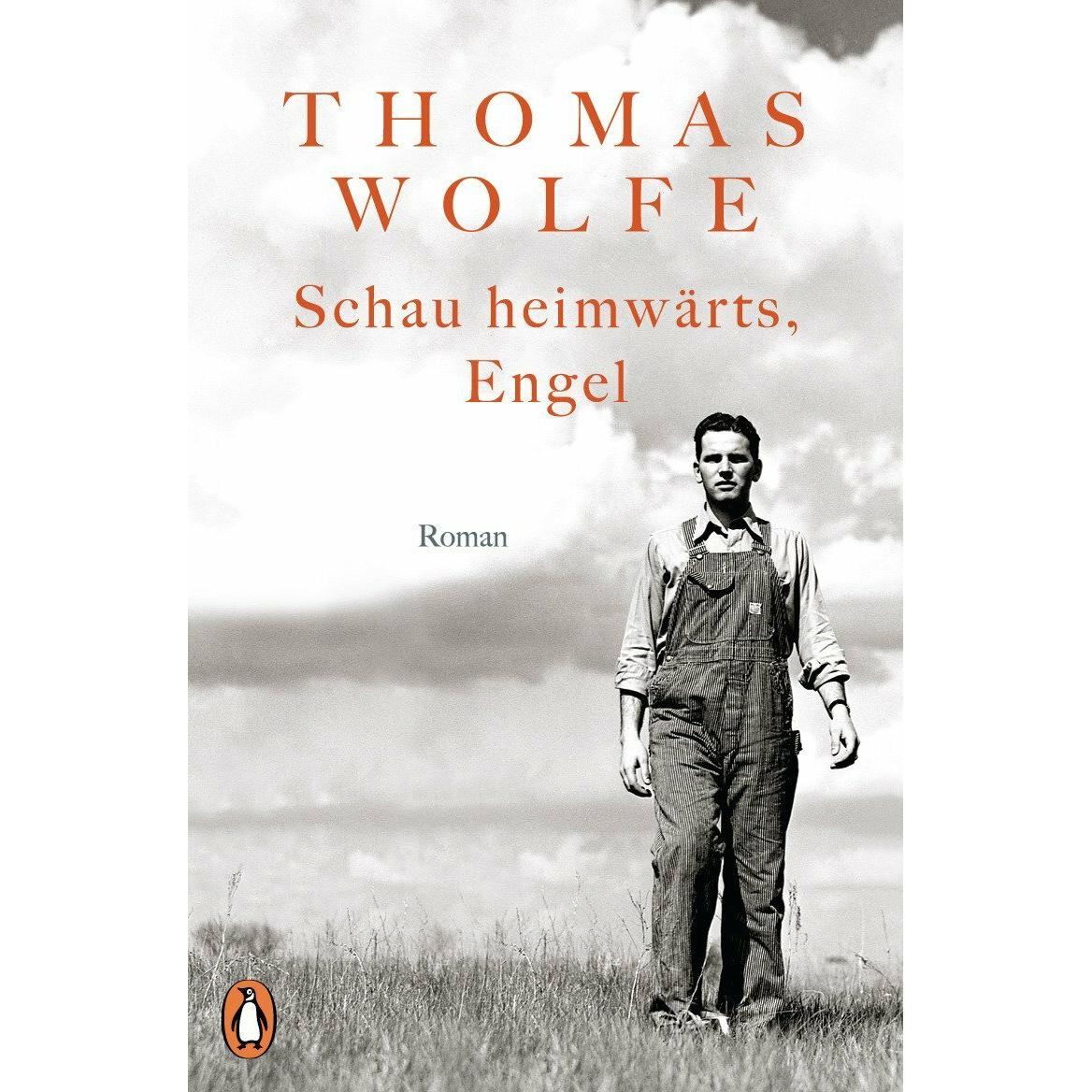Schau heimwärts, Engel, Belletristik von Thomas Wolfe