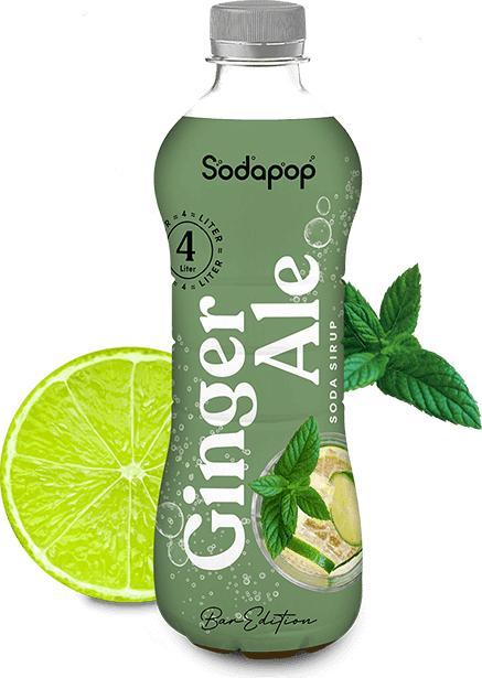 Produktbild Sodapop Getränke-Sirup Ginger Ale Bar Sirup (1 x 50 cl)