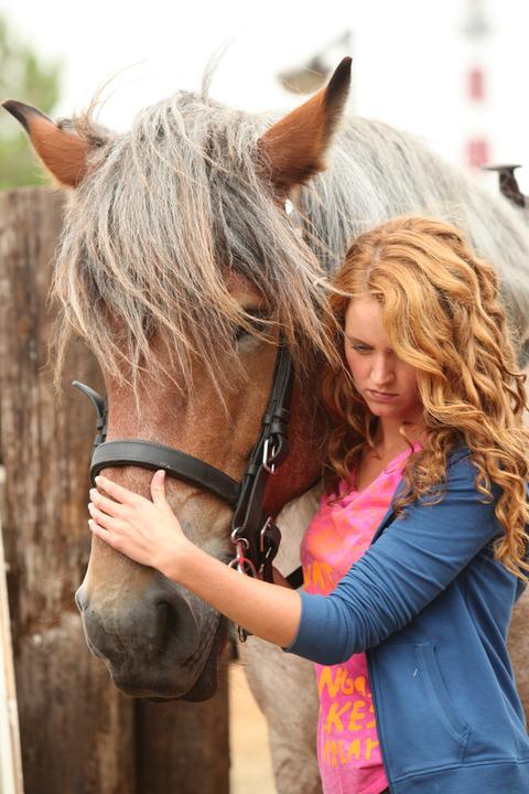 Actual product image My Friend Shadow Adventures on Horse Island (DVD, 2012, German, Dutch)