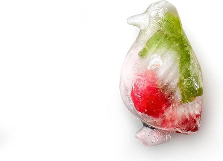 Image du produit Lékué Pingouin