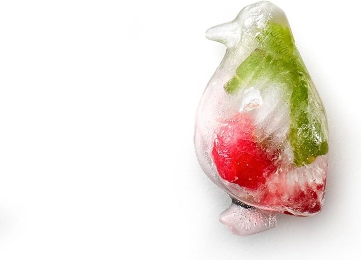 Image du produit Lékué Pingouin