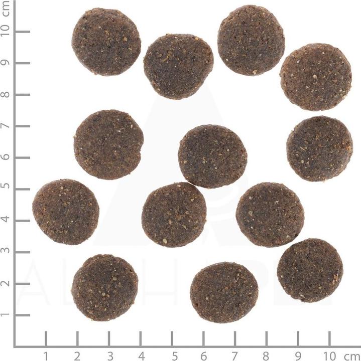 Immagine prodotto Wolfsblut Cane secco gamma agnello adulto, 12,5 kg (Adulto, 1 pz., 12500 g)