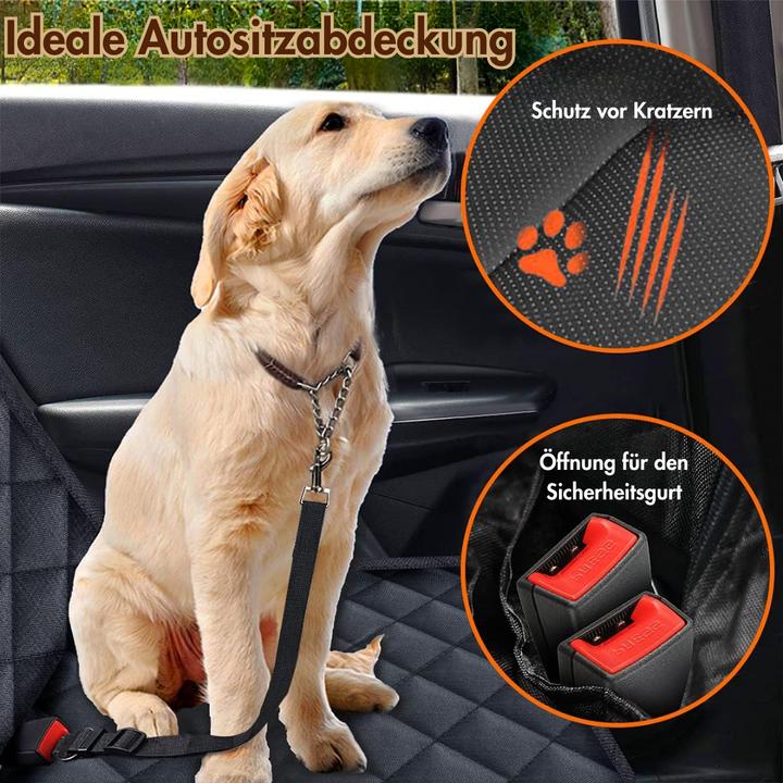 Produktbild Suba Auto (Hund)