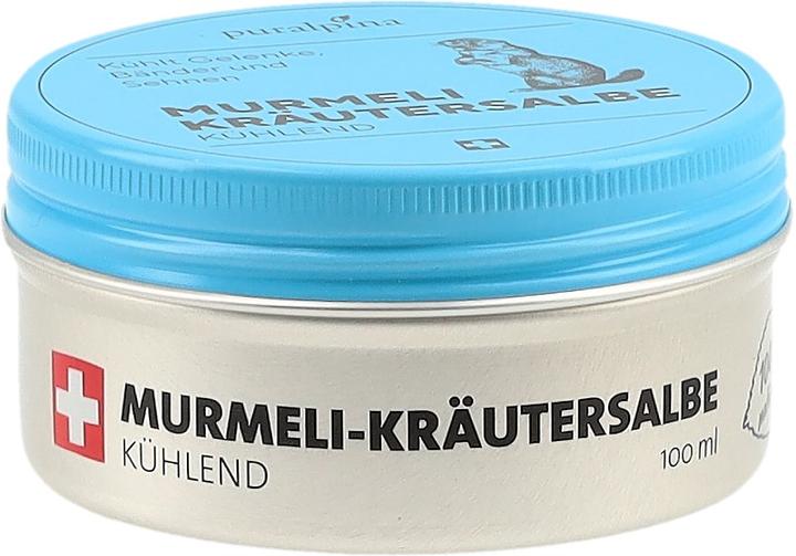 Image du produit Puralpina Pommade aux herbes Murmeli (1 x, 100 ml, 100 g)
