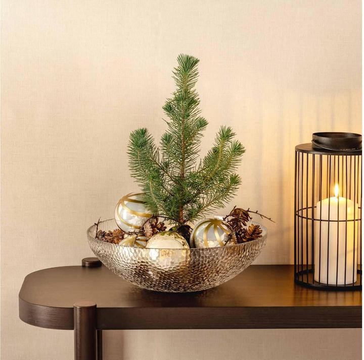 Produktbild Leonardo Schale Martello 2 Stück, 32 cm, Transparent, Materialtyp