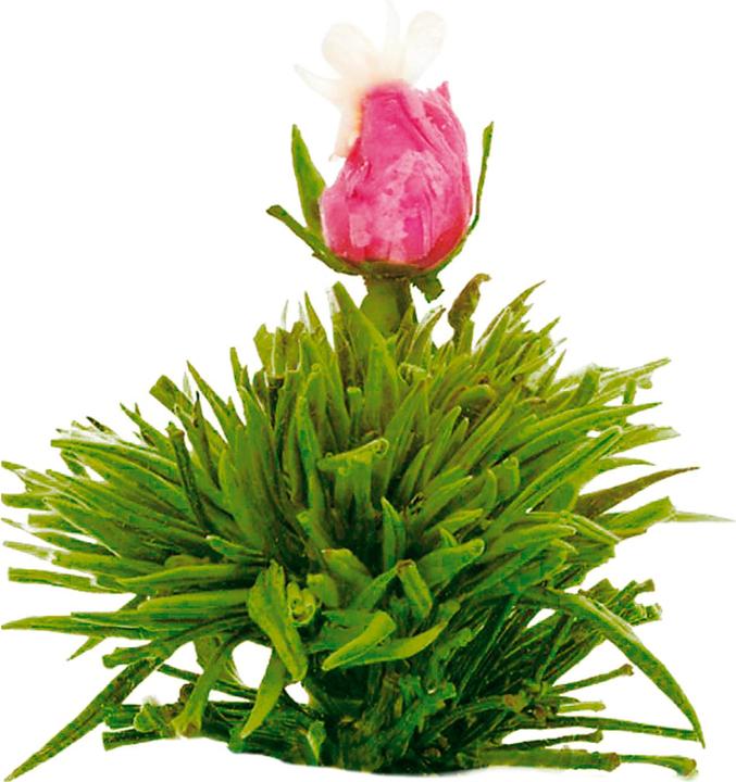 Image du produit Creano Erblühtee (0.50 l)