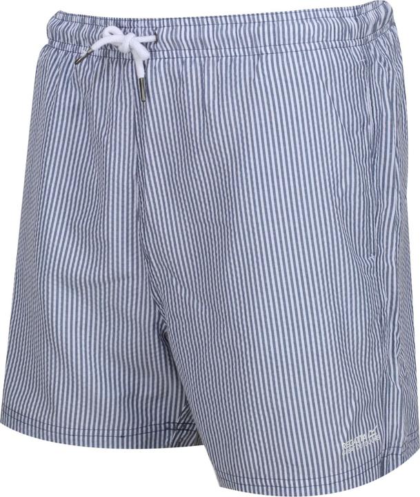 Actual product image Regatta Mens Loras Stripe Swim Shorts (XL)