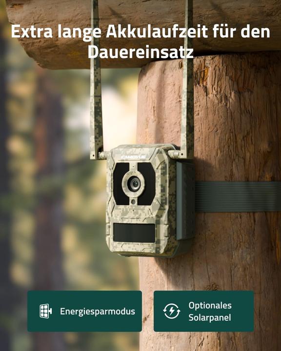 Actual product image Reolink Camovue Talon Pro wildlife camera