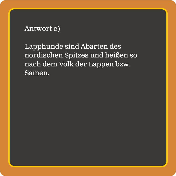 Produktbild Das Hunde-Quiz (Neuauflage) (Deutsch, Dr. Tessy Korber, 2023)