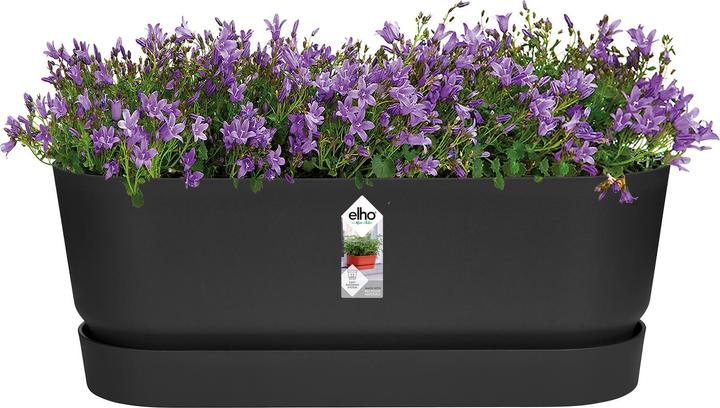 Image du produit Elho Bac à fleurs (19 cm)