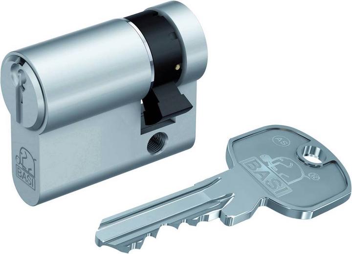 Actual product image BASI ProfileHalf cylinder (Profile cylinder)