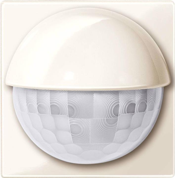 Actual product image Merten ARGUS Presence (12 m)