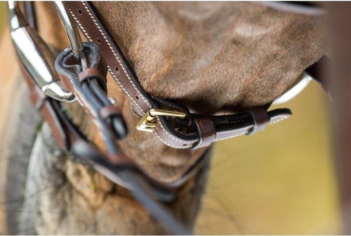 Image du produit HFI Master Comfort