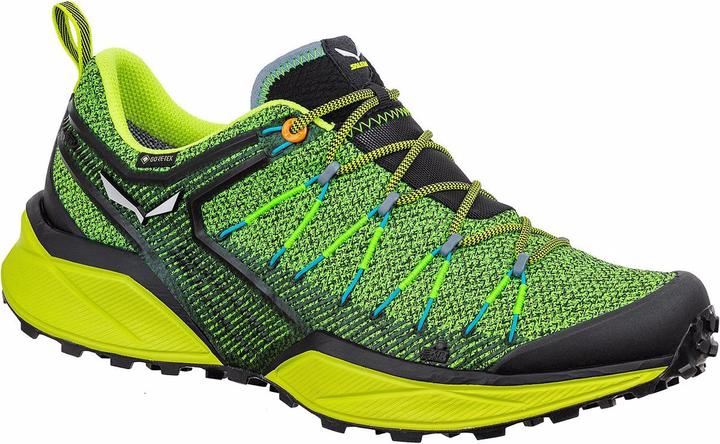 Produktbild Salewa Dropline GTX Schuhe (40)