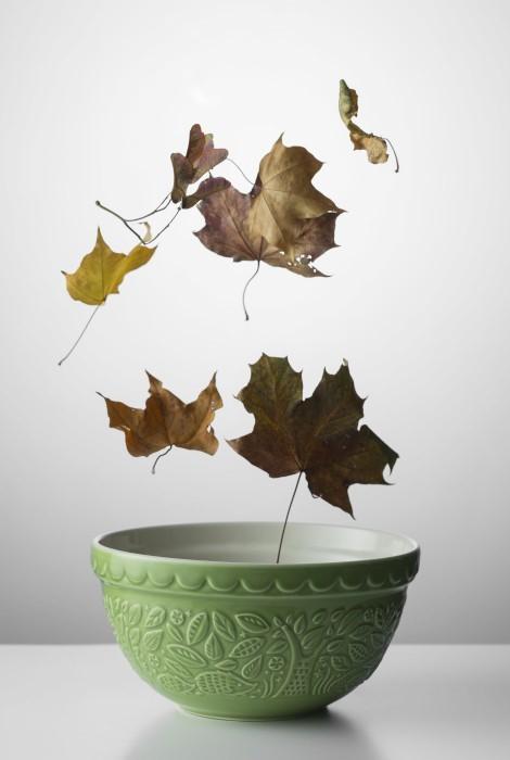 Immagine prodotto Mason Cash Ciotola per mescolare In The Forest 21 cm, verde (1 l, 1x)