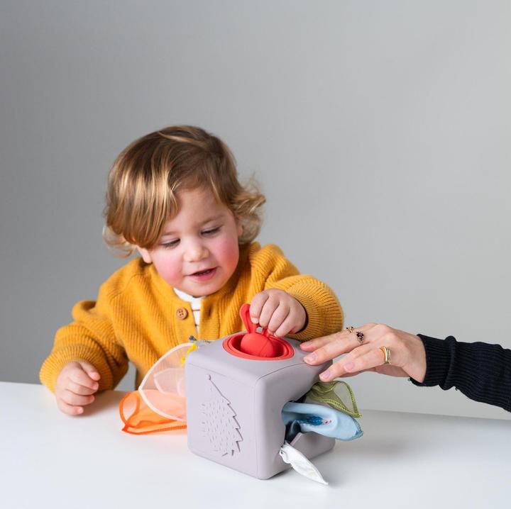 Actual product image Taf Toys Wipes box Pop Up