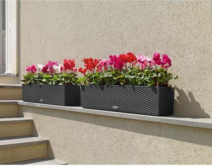 Actual product image Lechuza Balconera Cottage (19 cm)