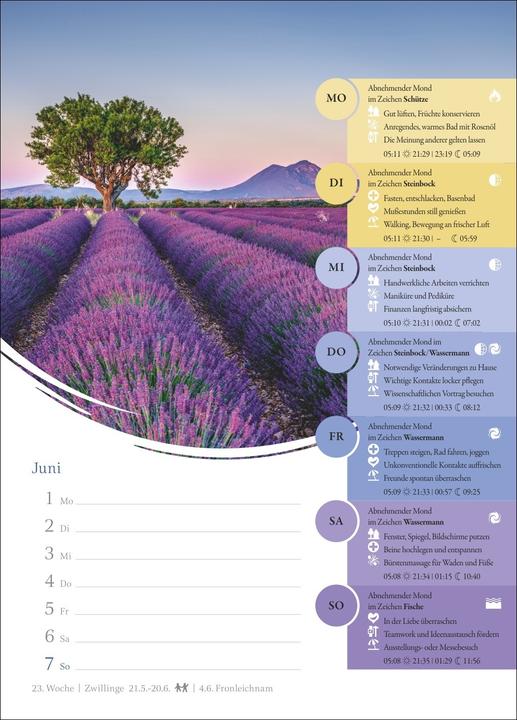 Actual product image Harenberg Mondkalender Wochenkalender 2026 - 53 Wochenblätter mit praktischen Tipps für jeden Tag (Hardcover, German)